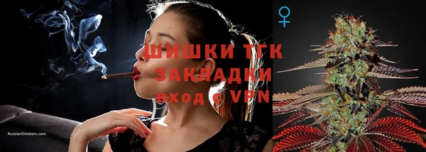 спиды Михайлов